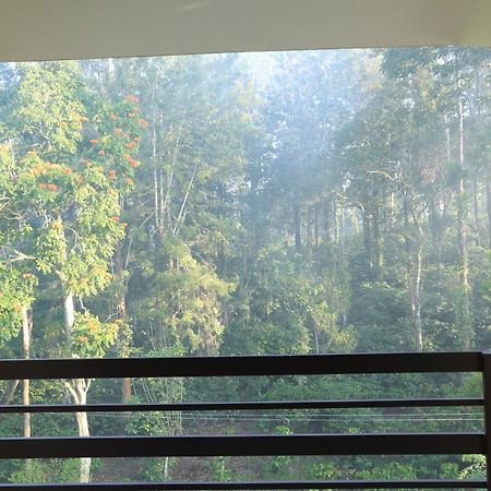 Aditi Thekkady Esterno foto