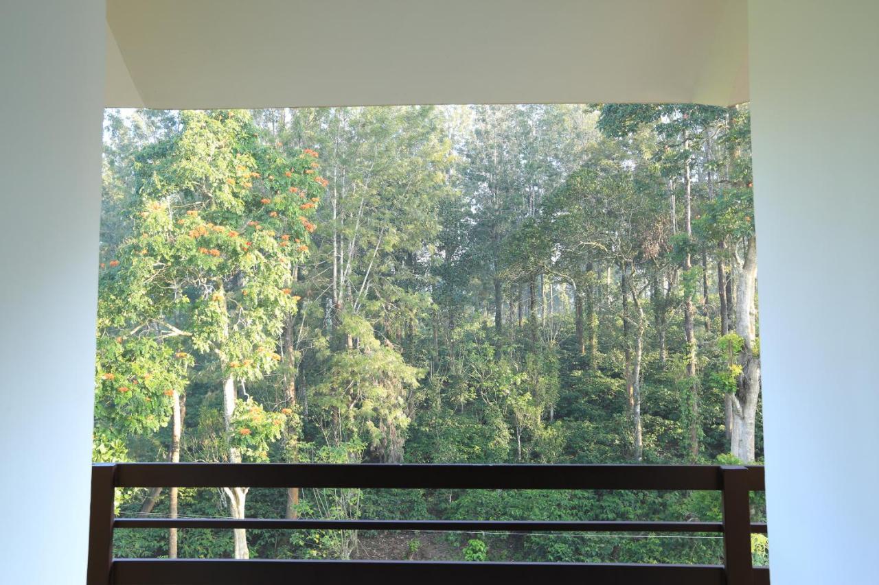 Aditi Thekkady Esterno foto