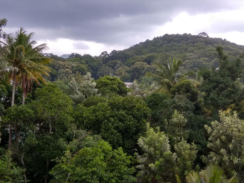 Aditi Thekkady Esterno foto